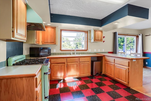 kitchen featuring ventilation hood, a healthy amount of sunlight, white gas range, and sink