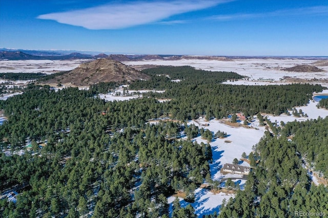 bird's eye view with a mountain view