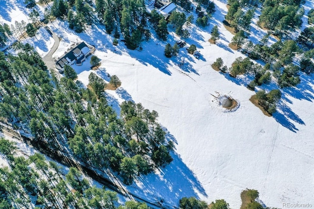 view of snowy aerial view