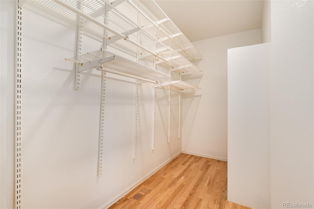 spacious closet featuring wood-type flooring