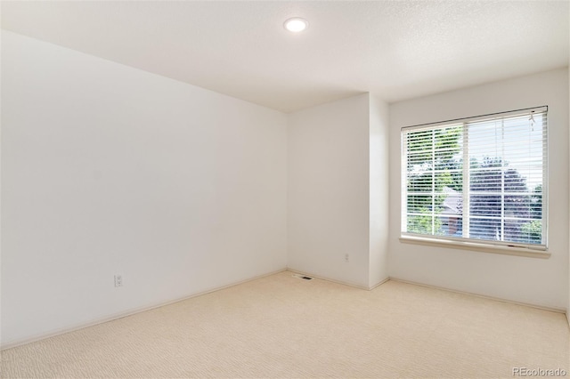 spare room featuring light carpet