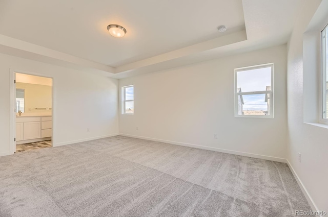 spare room featuring light colored carpet and a tray ceiling