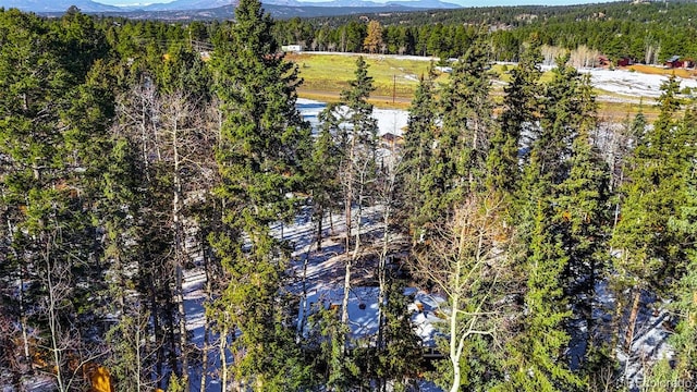 birds eye view of property with a mountain view