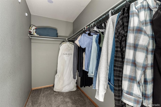 walk in closet with carpet floors