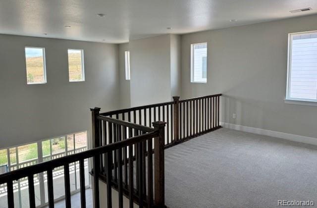 16300 W 92nd Cir, Arvada, CO 80007 - photo 3