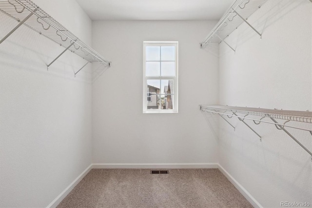 8339 Snake River St, Littleton, CO 80125 - walk in closet with carpet floors