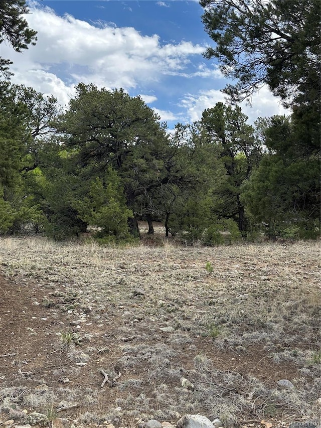 108 Cedar Ridge Rd, Mosca CO, 81146 land for sale