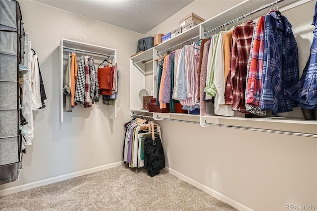 spacious closet featuring carpet