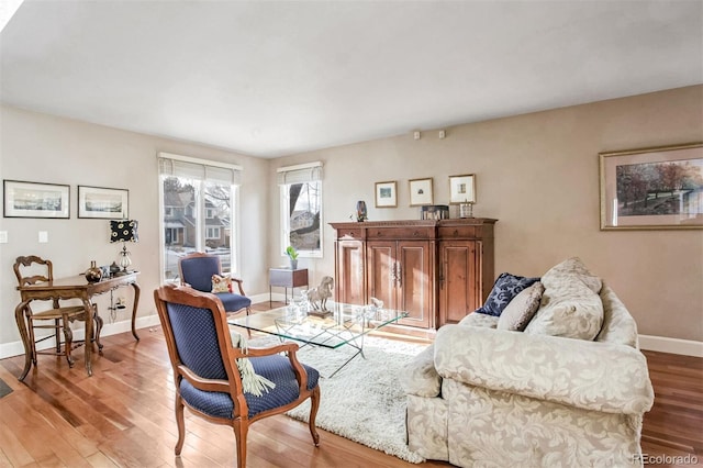 living room with wood-type flooring