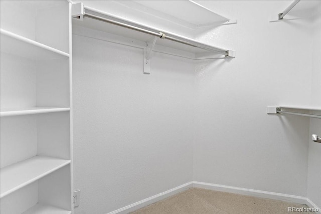 5310 S Flanders Way, Centennial, CO 80015 - walk in closet featuring carpet floors