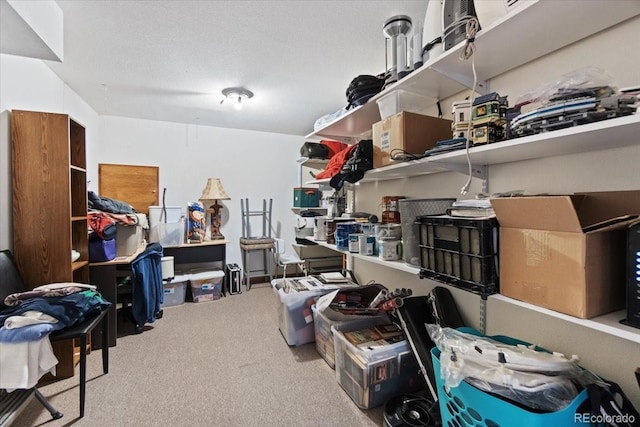 5310 S Flanders Way, Centennial, CO 80015 - view of storage room