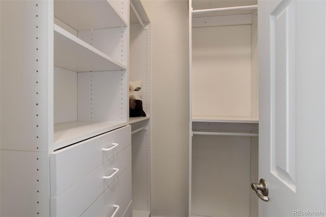 view of walk in closet