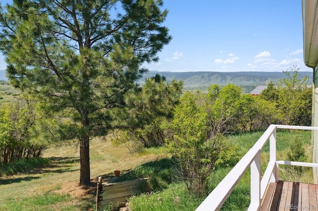2938 Wolfensberger Rd, Sedalia, CO 80135 - photo 18