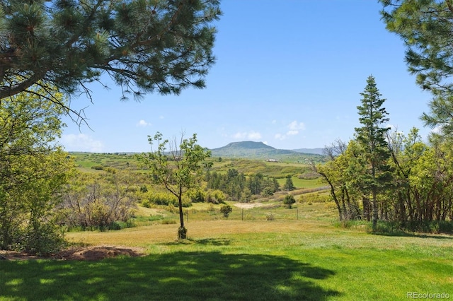 2938 Wolfensberger Rd, Sedalia, CO 80135 - photo 8
