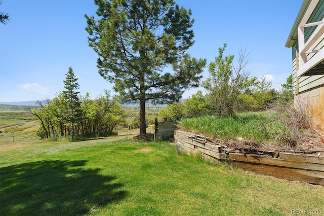 2938 Wolfensberger Rd, Sedalia, CO 80135 - photo 7