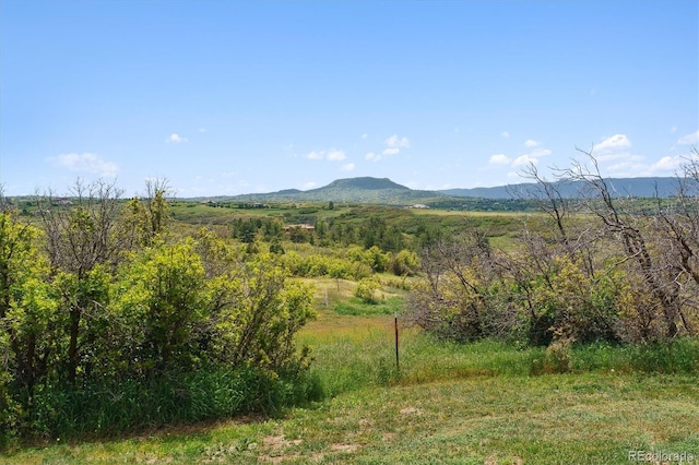 2938 Wolfensberger Rd, Sedalia, CO 80135 - photo 5