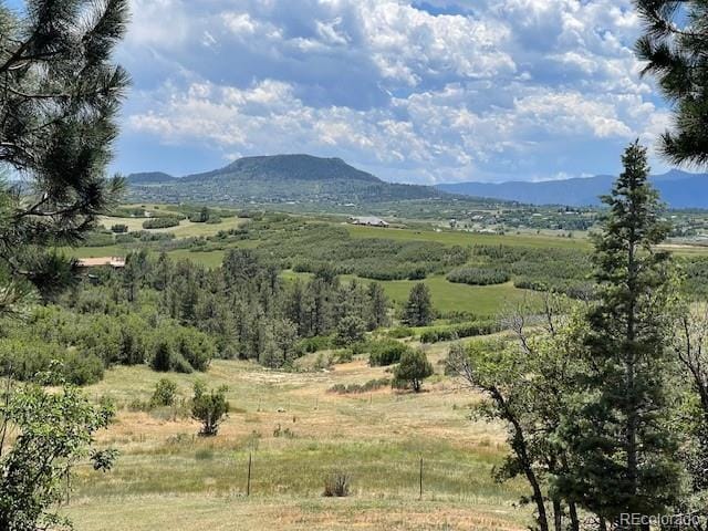 2938 Wolfensberger Rd, Sedalia, CO 80135 - photo 1