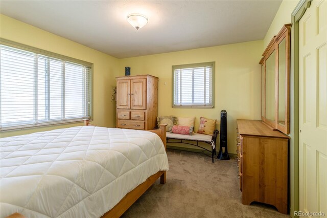 4530 S Inca St, Englewood, CO 80110 - photo 11