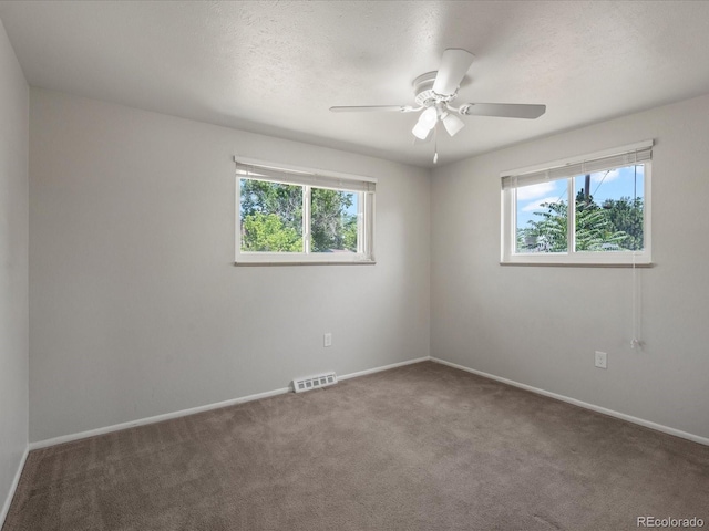 7162 Quay St, Arvada, CO 80003 - photo 7