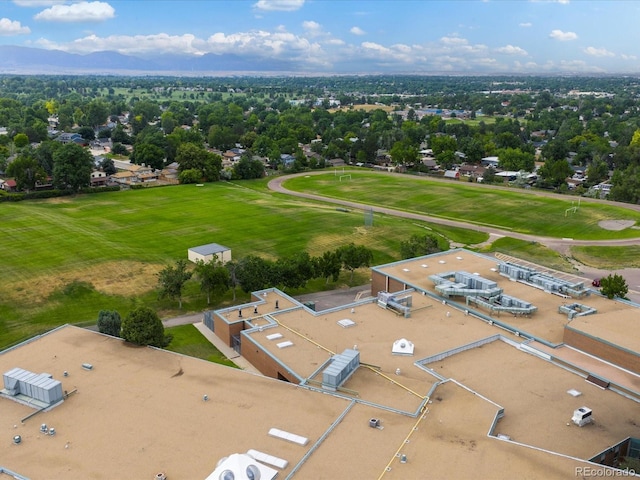 7162 Quay St, Arvada, CO 80003 - photo 23