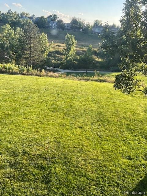 view of yard with a water view