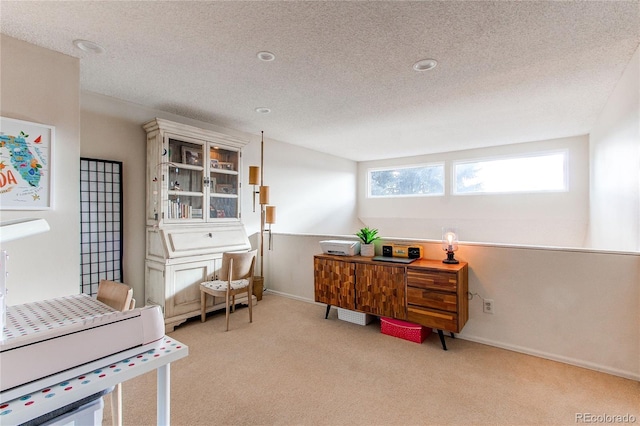 office space with light colored carpet and a textured ceiling