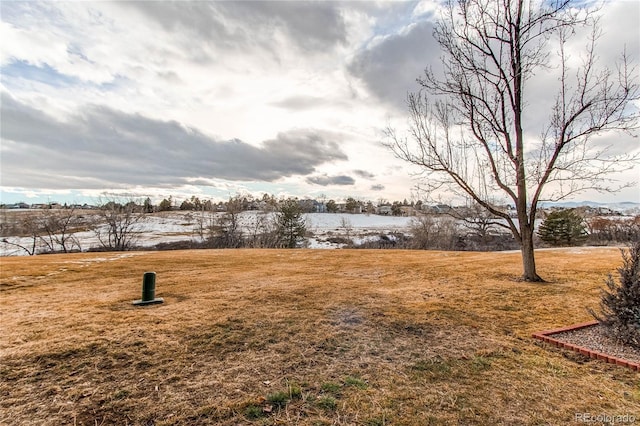 view of yard with a rural view