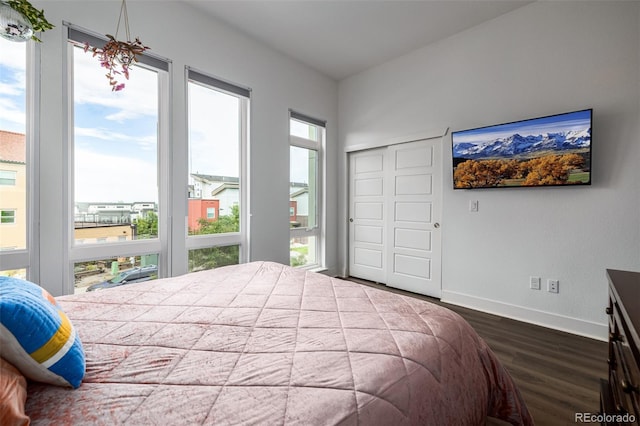 2824 W Parkside Pl, Denver, CO 80221 - bedroom featuring a closet, baseboards, and dark wood-style flooring