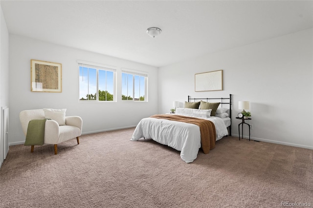 18645 E 54th Pl, Denver, CO 80249 - bedroom featuring carpet and baseboards