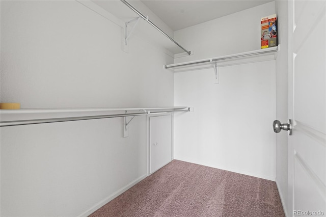 18645 E 54th Pl, Denver, CO 80249 - spacious closet featuring carpet
