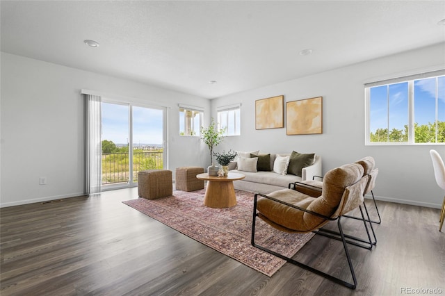 18645 E 54th Pl, Denver, CO 80249 - living room with baseboards and wood finished floors