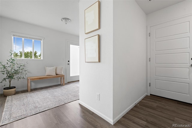 18645 E 54th Pl, Denver, CO 80249 - corridor featuring wood finished floors and baseboards