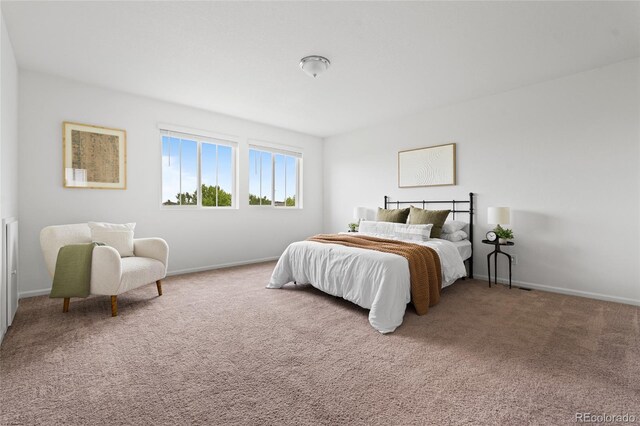 18645 E 54th Pl, Denver, CO 80249 - carpeted bedroom with baseboards