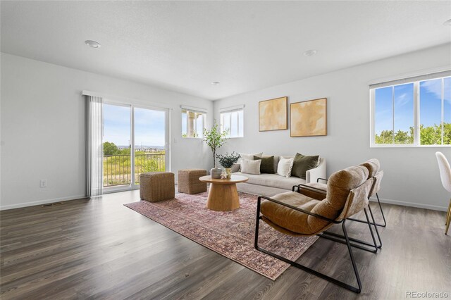 18645 E 54th Pl, Denver, CO 80249 - living room featuring wood finished floors and baseboards