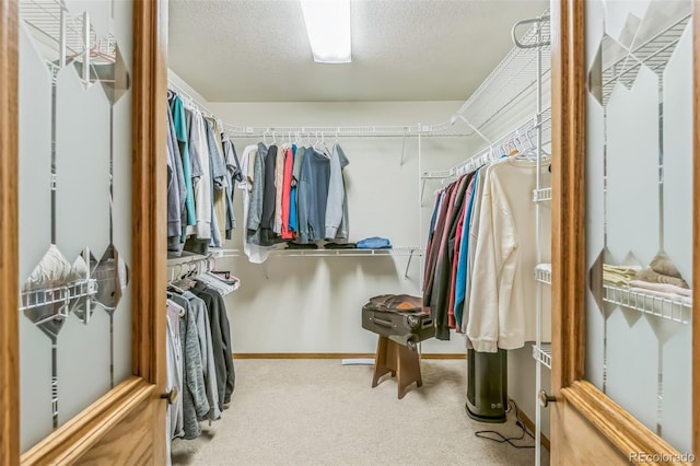 spacious closet with carpet