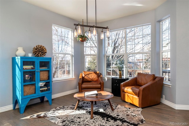 sitting room featuring dark wood-type flooring