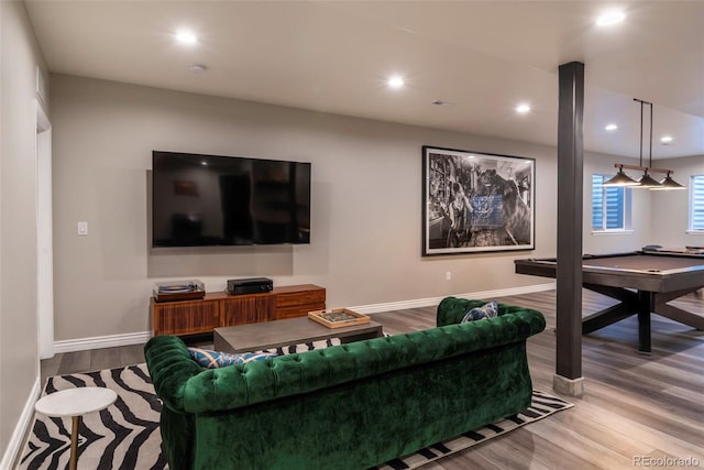 living room featuring wood-type flooring