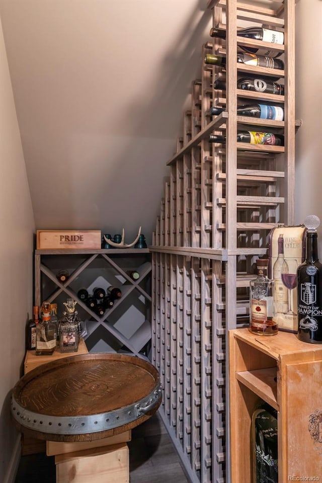 wine cellar featuring hardwood / wood-style floors