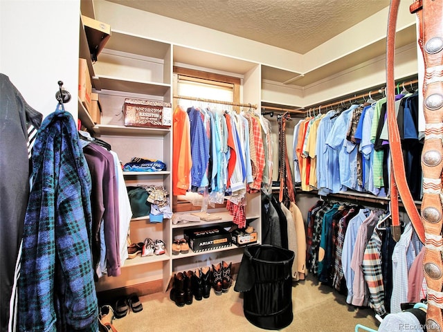 walk in closet with carpet floors