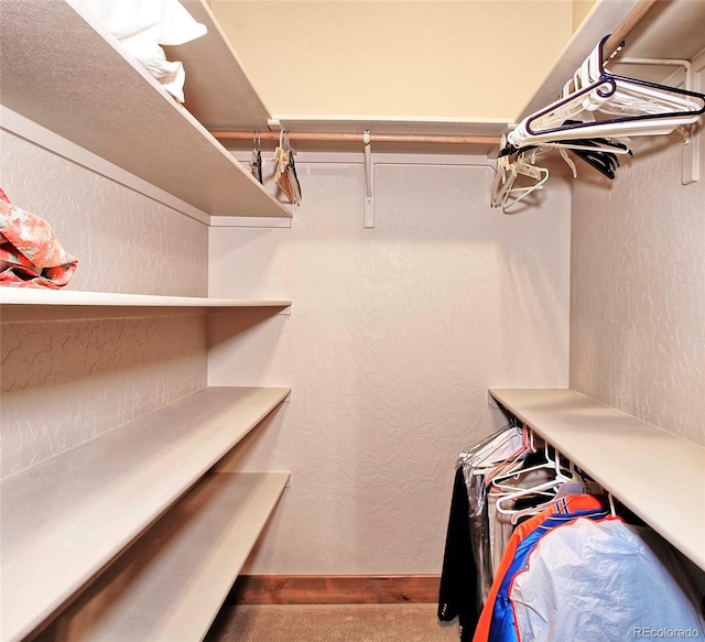 walk in closet with carpet flooring