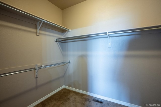 1985 Reed Grass Way, Colorado Springs, CO 80915 - walk in closet featuring dark colored carpet