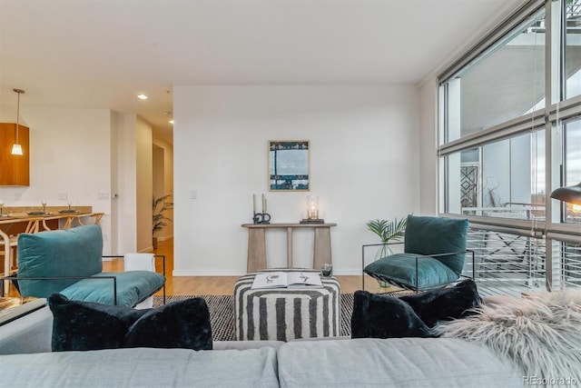 living room with light hardwood / wood-style floors and plenty of natural light