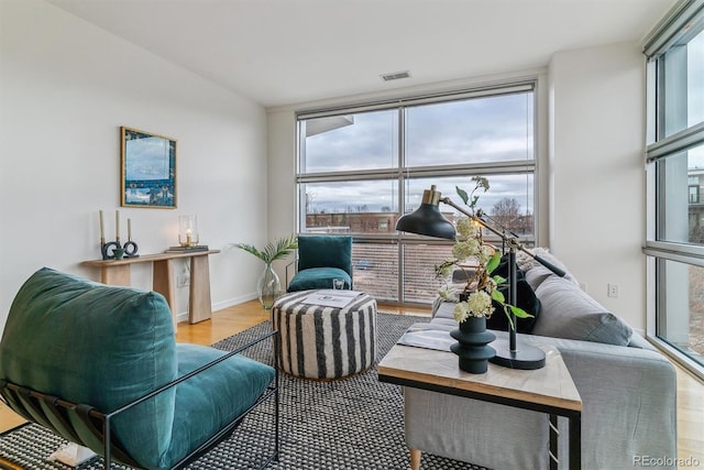 living room with light hardwood / wood-style floors and expansive windows