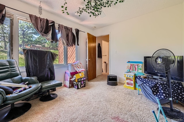 4484 Juniper Ct, Larkspur, CO 80118 - game room featuring carpet flooring and a textured ceiling