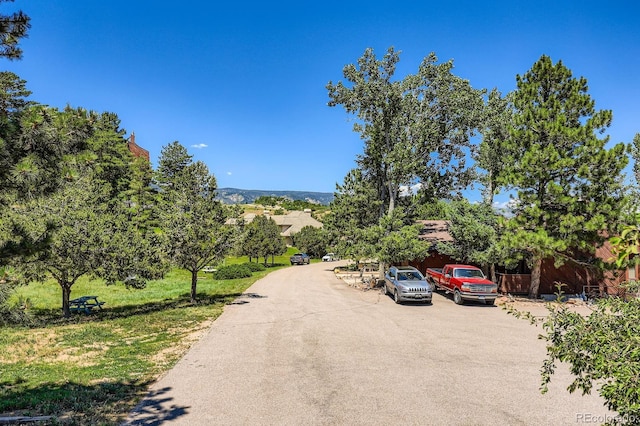4484 Juniper Ct, Larkspur, CO 80118 - view of road