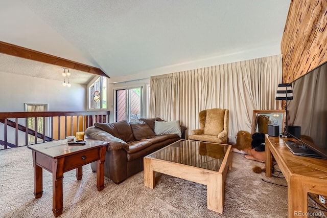4484 Juniper Ct, Larkspur, CO 80118 - living room with carpet and a textured ceiling
