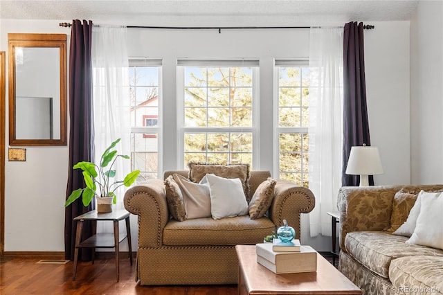 interior space featuring a wealth of natural light, dark hardwood / wood-style floors, and a textured ceiling