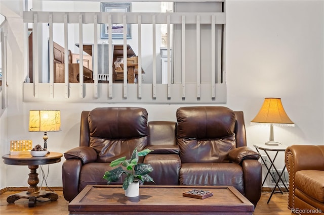 living room featuring hardwood / wood-style flooring