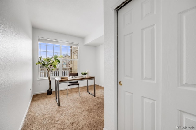 office featuring carpet flooring, a textured wall, and baseboards