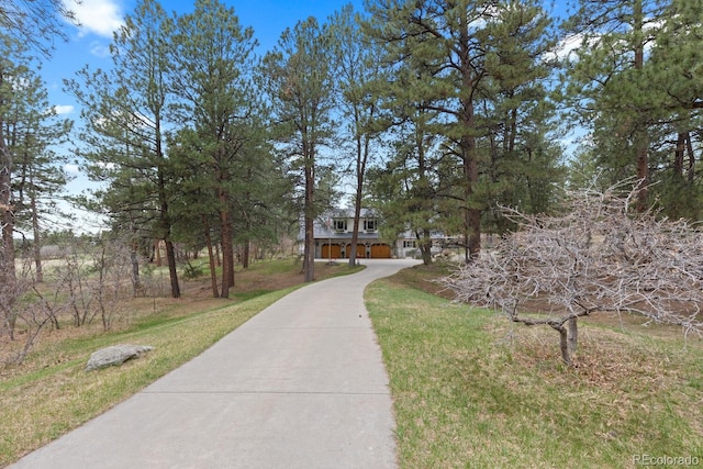 689 Red Deer Rd, Franktown, CO 80116 - view of home's community with a lawn